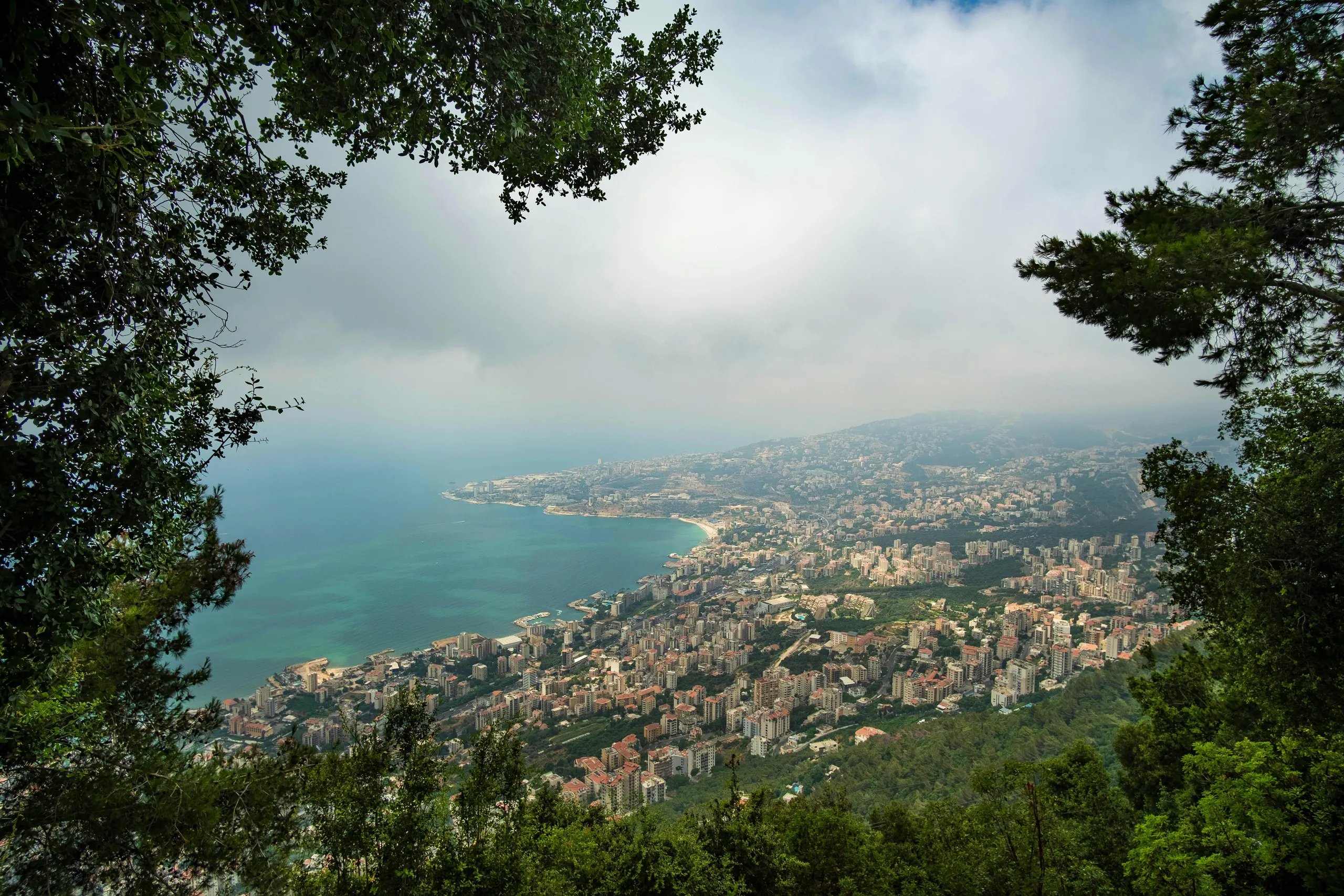 Lebanon's coastline viewed through cedar branches from the Harissa overlook